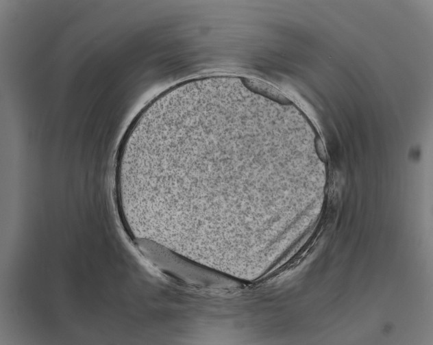 X0000097621005200803281032