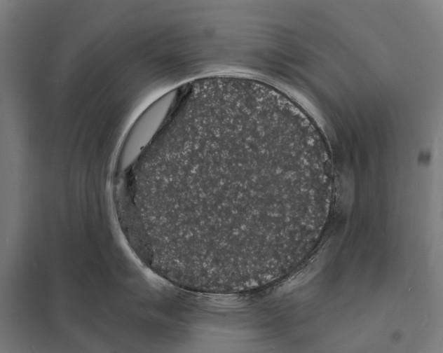 X0000097621007200803281032