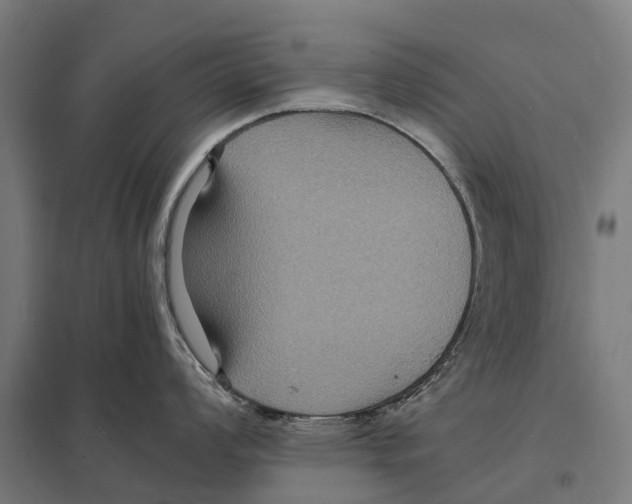 X0000097621008200803281032