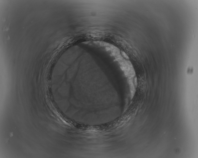 X0000097621009200803281031