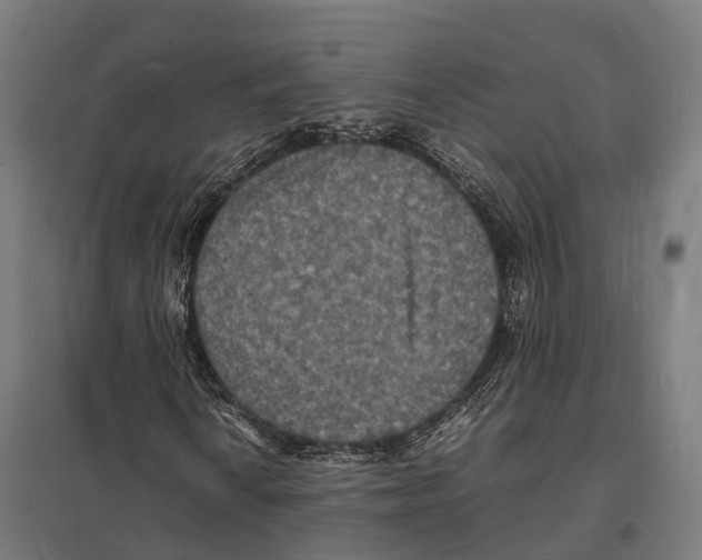 X0000097621010200803281031