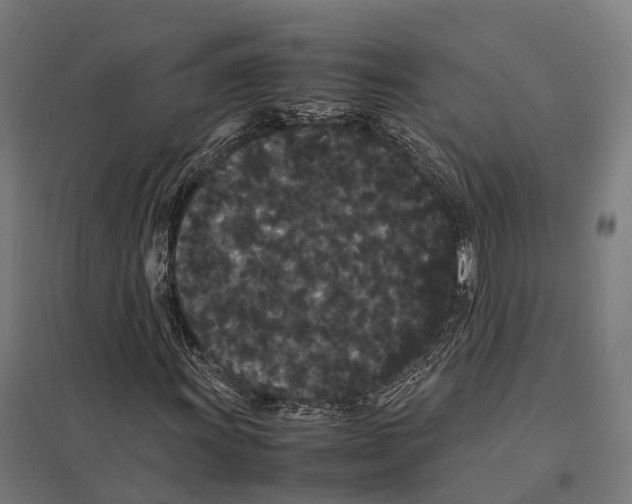 X0000097621011200803281031
