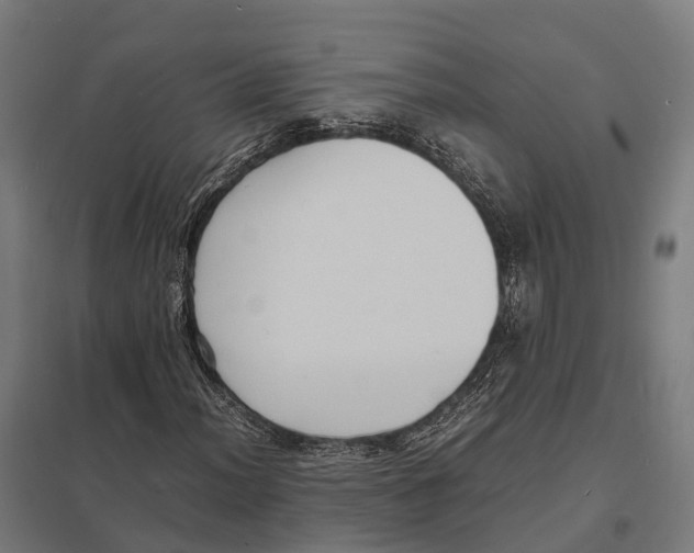 X0000097621012200803281031