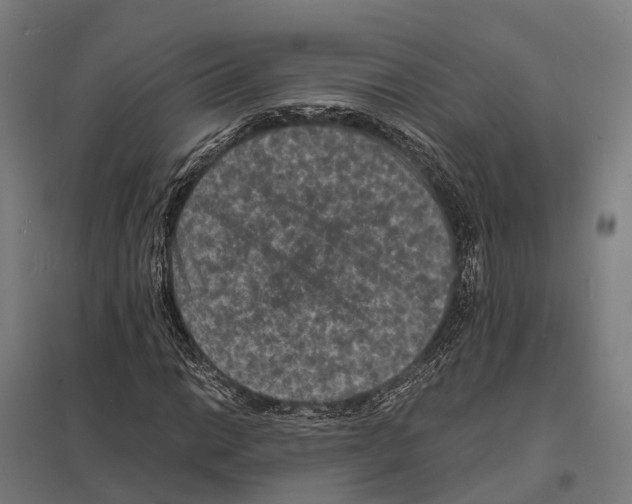 X0000097621014200803281031