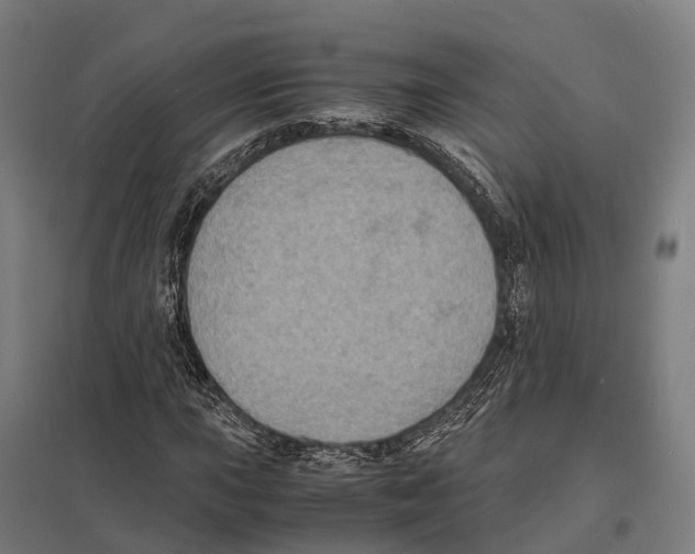 X0000097621015200803281031