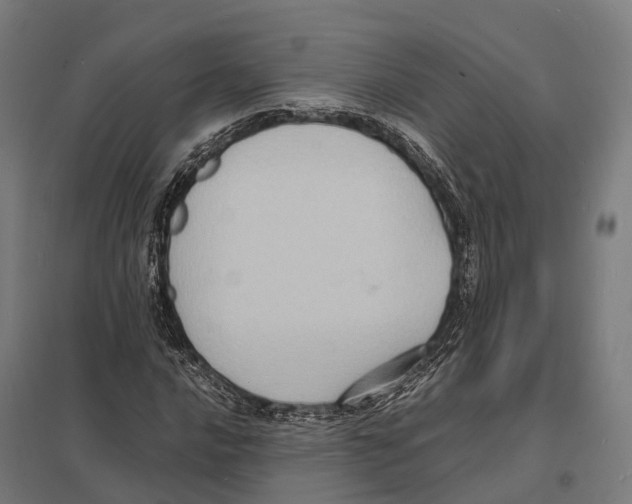 X0000097621016200803281031