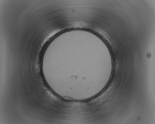 X0000097621018200803281031