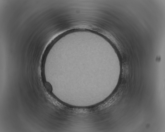 X0000097621020200803281031