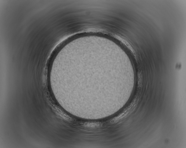 X0000097621021200803281031
