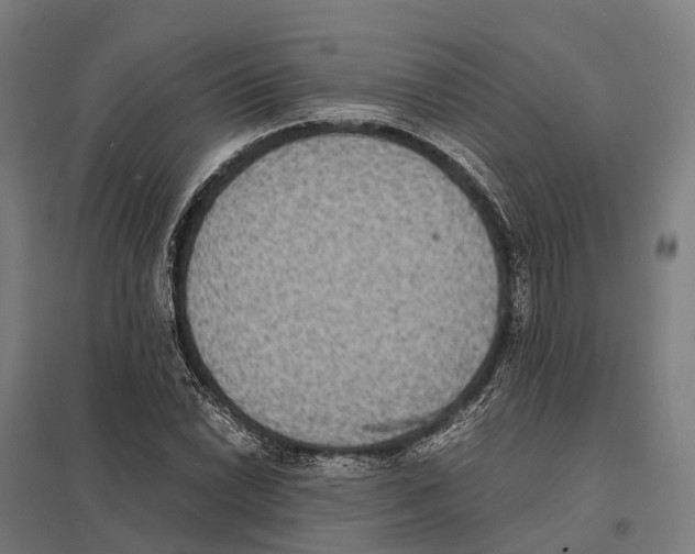 X0000097621022200803281031