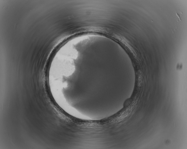 X0000097621024200803281031