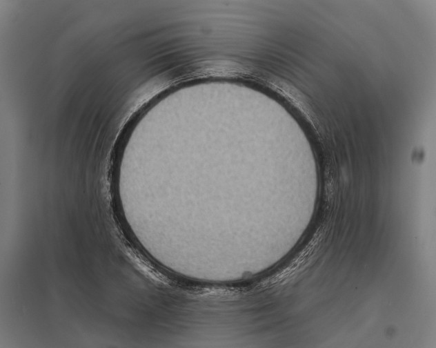 X0000097621026200803281032