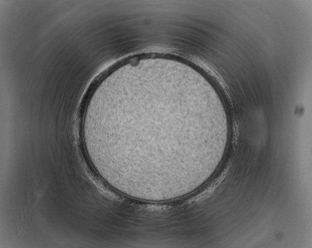 X0000097621029200803281032
