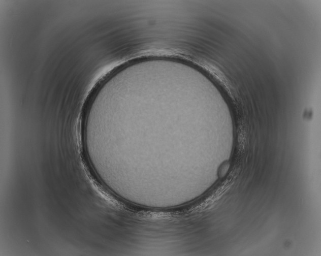 X0000097621030200803281032