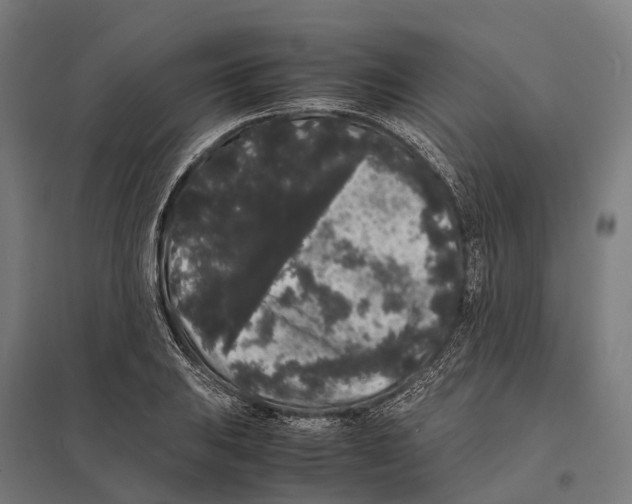 X0000097621031200803281032