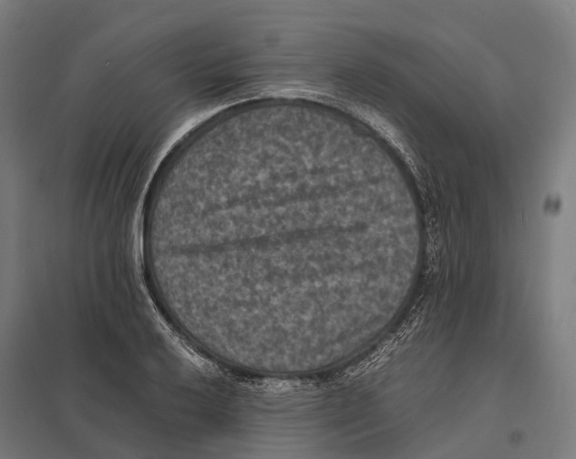 X0000097621032200803281032