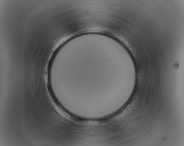 X0000097621034200803281032