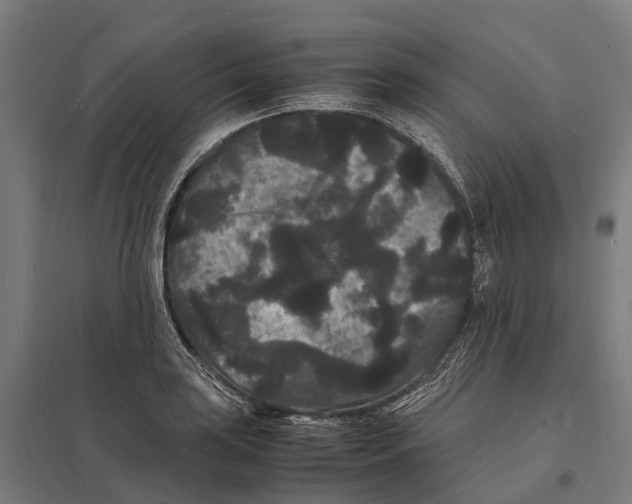 X0000097621035200803281032