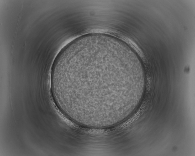 X0000097621036200803281032