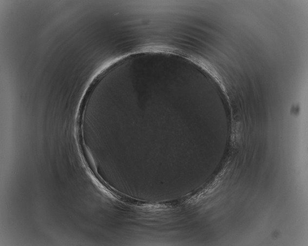 X0000097621037200803281032