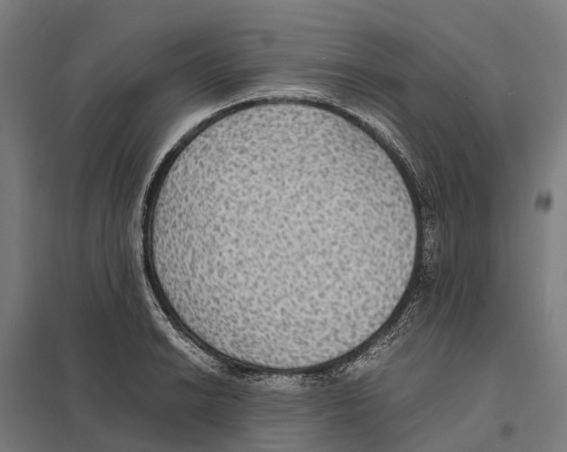 X0000097621038200803281032