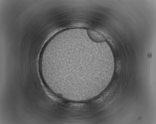X0000097621039200803281032