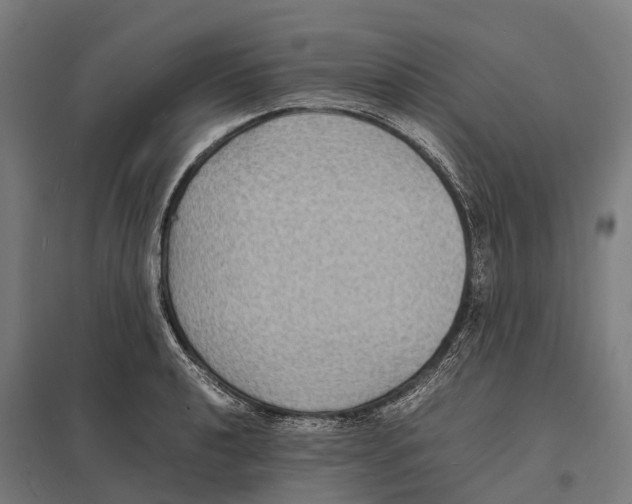 X0000097621040200803281032