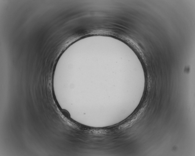 X0000097621041200803281032