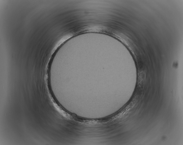X0000097621042200803281032
