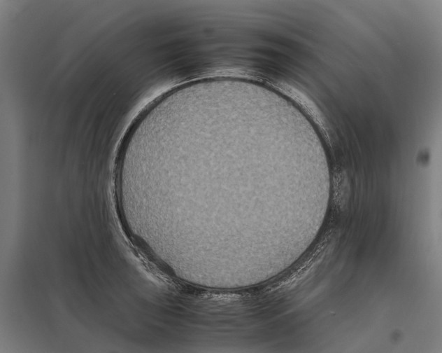 X0000097621043200803281032