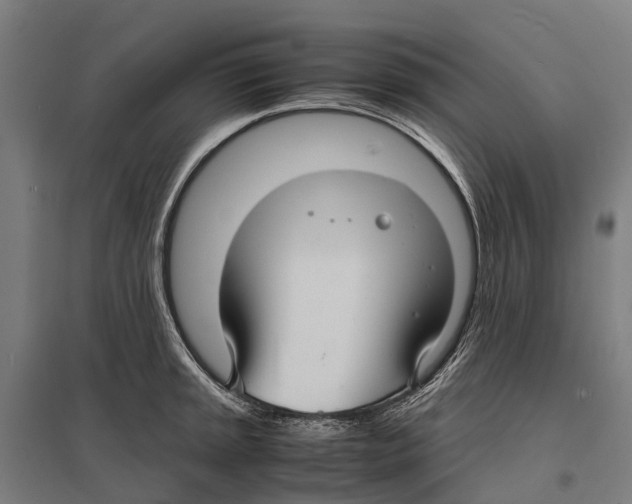 X0000097621045200803281032