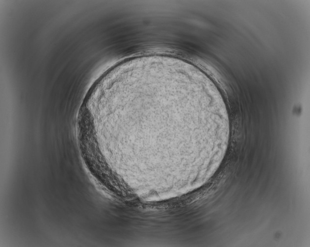X0000097621047200803281032