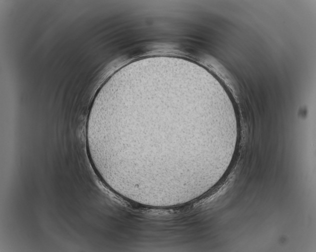 X0000097621049200803281032