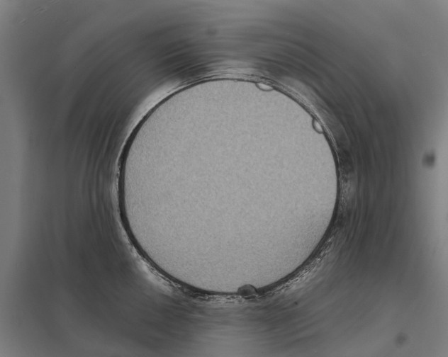 X0000097621050200803281032