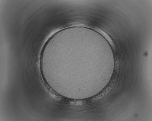 X0000097621051200803281032
