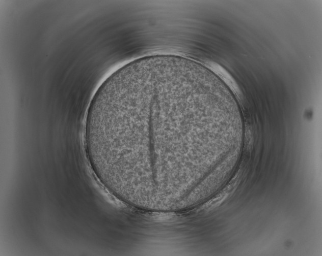 X0000097621052200803281032