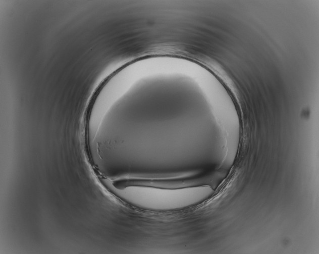 X0000097621053200803281032