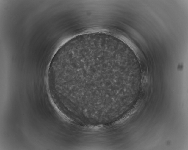 X0000097621055200803281032