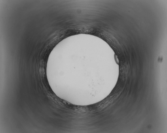 X0000097621058200803281031