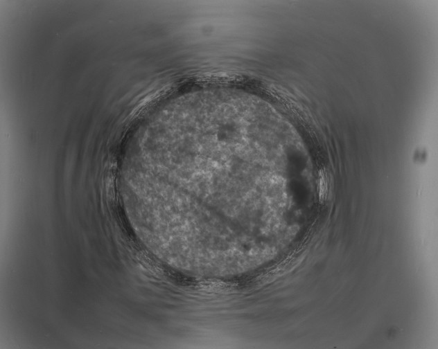 X0000097621059200803281031