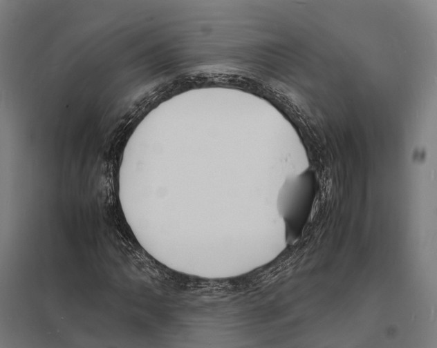 X0000097621062200803281031