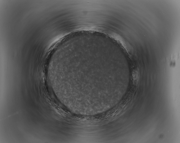 X0000097621064200803281031