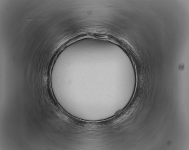 X0000097621065200803281031