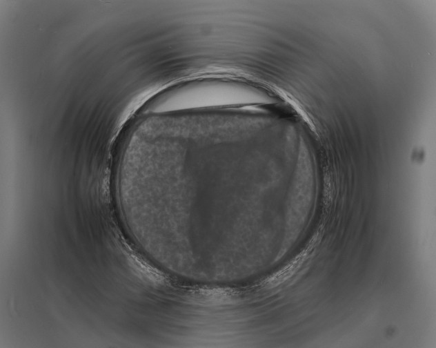 X0000097621066200803281031