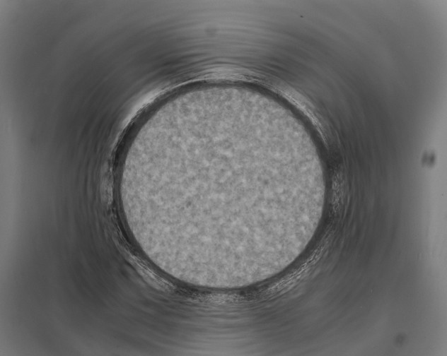 X0000097621067200803281031