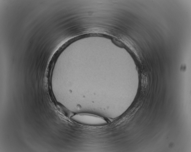 X0000097621068200803281031