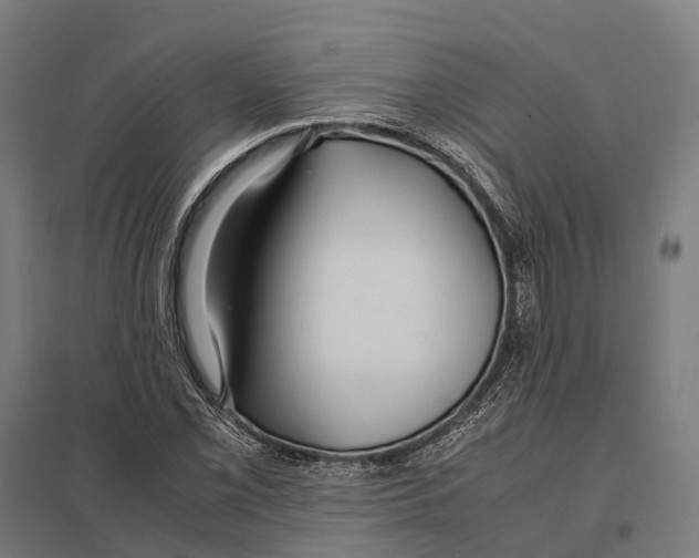 X0000097621069200803281031