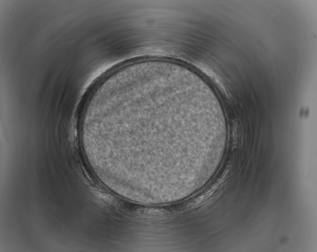 X0000097621070200803281031