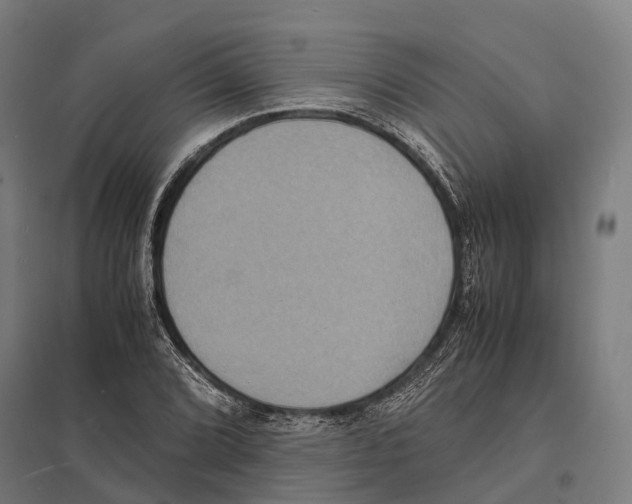 X0000097621072200803281031