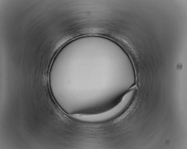 X0000097621073200803281031